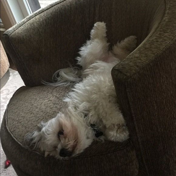 MOMMY LOVES OFFERS!!! - Picture 1 of 1